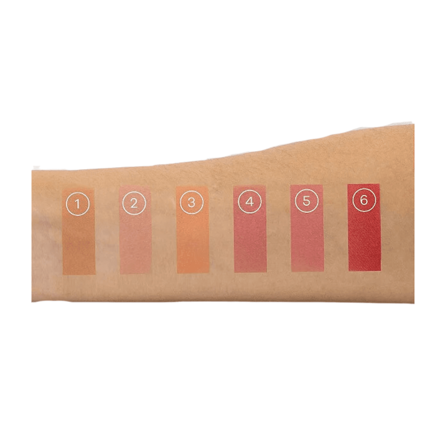 Blush Facial Compacto Uni Blush Vivai